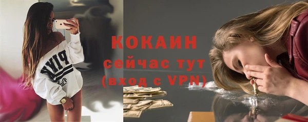 прущие грибы Армянск