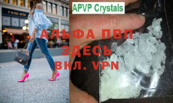 стафф Арсеньев