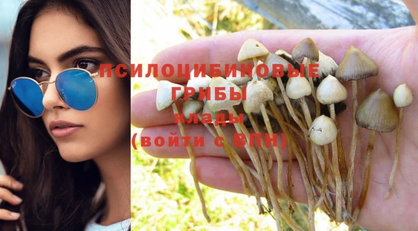 стафф Арсеньев