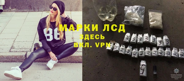 прущие грибы Армянск
