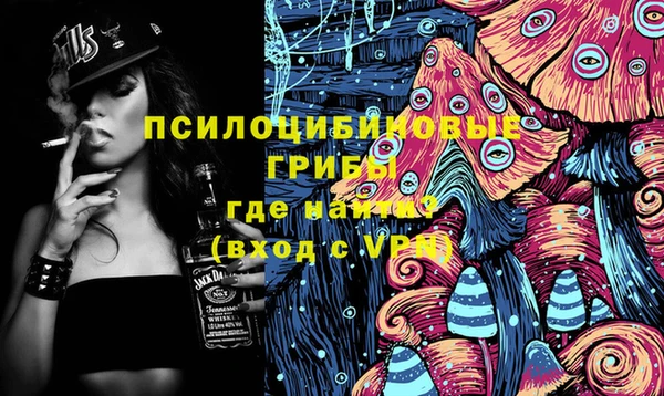 стафф Арсеньев