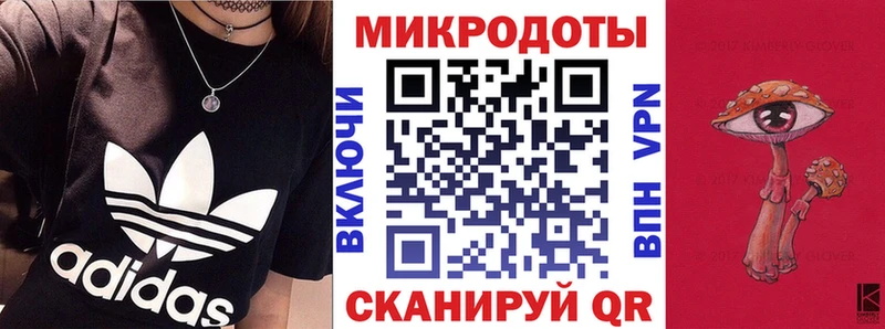 Галлюциногенные грибы Psilocybe Спас-Деменск